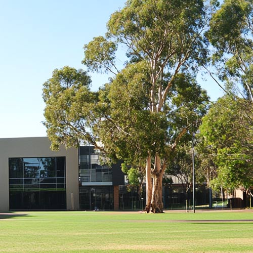 Schools Managing Contractors