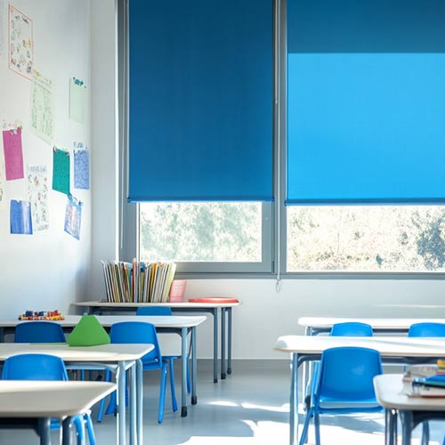 School Risk Management